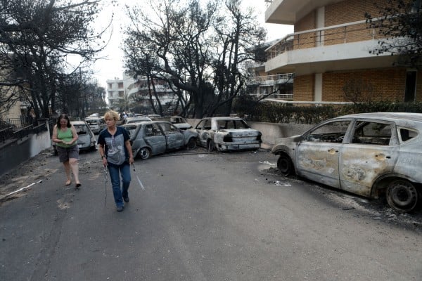 ΚΕΕΛΠΝΟ: Για ποια είδη υπάρχει ανάγκη για τους πυρόπληκτους