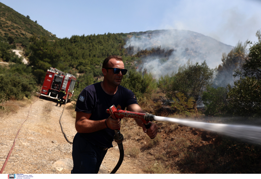 Πέλλα: Οριοθετήθηκε η φωτιά σε δασική έκταση στον Προφήτη Ηλία