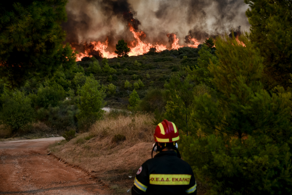 Φωτιές Αττική: Αρχισε η εισαγγελική έρευνα - Στο μικροσκόπιο και οι παραλείψεις των Αρχών