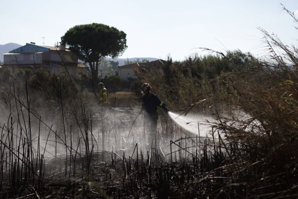 Καταγγελίες για εμπρησμό στη Ζάκυνθο - Η φωτιά έκαψε αιωνόβιες ελιές