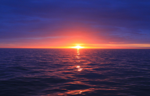 SOS από το Copernicus: Οι ωκεανοί κοντά σε επίπεδα ρεκόρ υψηλής θερμοκρασίας