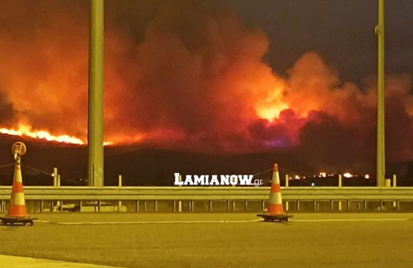 Μεγάλη φωτιά δίπλα στην Ε.Ο Αθηνών -Λαμίας στο ύψος της Θήβας (βίντεο)