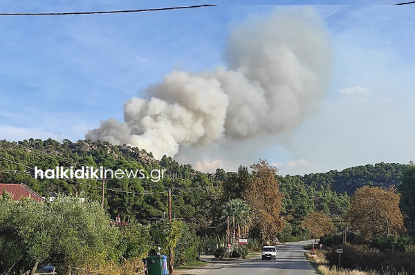 Φωτιά στη Χαλκιδική: Καίγεται πευκοδάσος