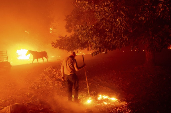 Photo: Noah Berger /AP