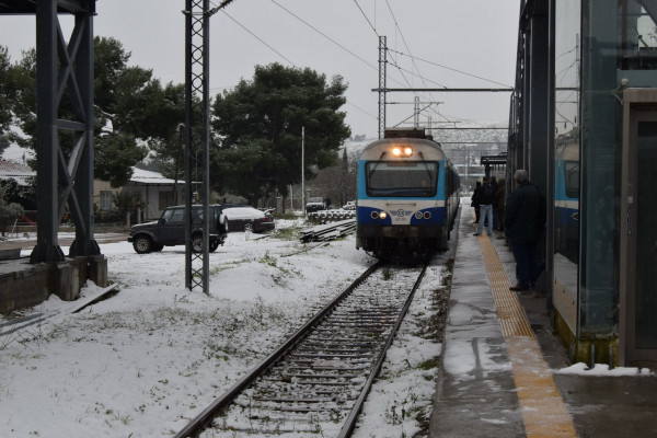 Δέντρο έπεσε σε τρένο προκαλώντας ζημιές, προβλήματα στο σιδηροδρομικό δίκτυο λόγω Μήδειας