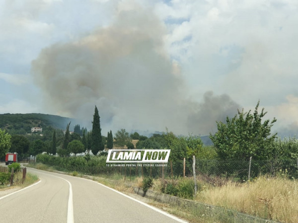 Φθιώτιδα: Η φωτιά έφτασε στο χωριό Δίβρη - Οι κάτοικοι συγκεντρώθηκαν στην πλατεία - Εκκενώθηκαν σπίτια (pics+vid)