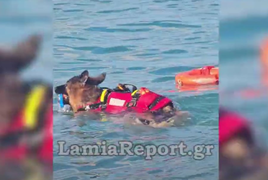 Σκύλος ναυαγοσώστης έσωσε λουόμενο από πνιγμό στα Καμένα Βούρλα (Βίντεο)