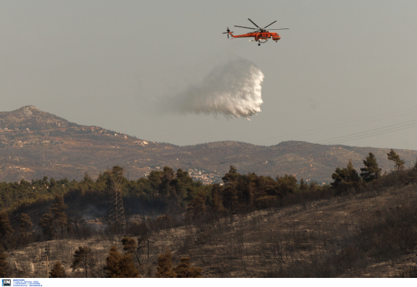 Μεγάλη φωτιά στην Κρήτη - Επί τόπου ισχυρή δύναμη της πυροσβεστικής