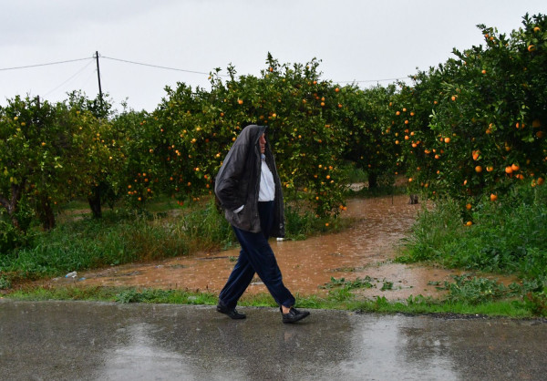 photo: αρχείο ΑΠΕ - ΜΠΕ