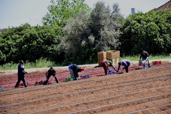 Έρχονται 957 προσλήψεις από το Υπουργείο Αγροτικής Ανάπτυξης και τροφίμων