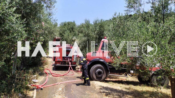 Τραγωδία στην Ηλεία: Νεκρός ηλικιωμένος από φωτιά στο σπίτι του