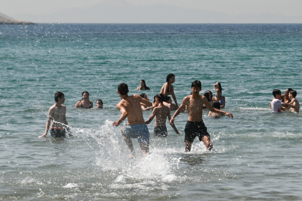 Μωβ μέδουσες: Πού υπάρχει έξαρση, πως να προστατευτείτε, τα συμπτώματα