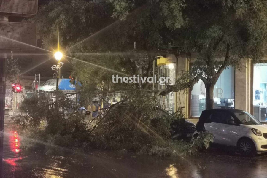 Κακοκαιρία: Ισχυρές βροχές και άνεμοι στη Θεσσαλονίκη - Έπεσαν δέντρα (εικόνες &amp; βίντεο)