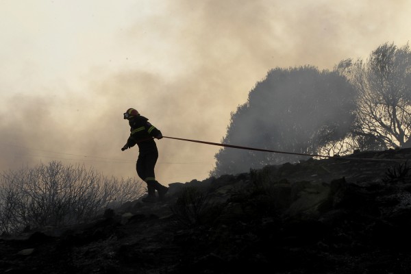 Πυροσβεστική: 56 δασικές πυρκαγιές το τελευταίο 24ωρο