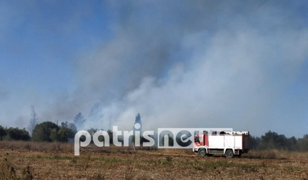 Φωτιά τώρα σε εξέλιξη σε Δουνέικα και Σαβάλια Ηλείας