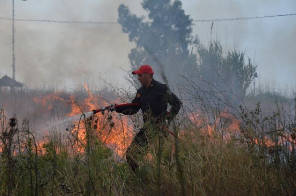 Φωτιά στη Φυλή: Τραγωδία με 48χρονο άνδρα που πέθανε από αναθυμιάσεις - Βρέθηκε νεκρός κοντά στον ΧΥΤΑ (video)