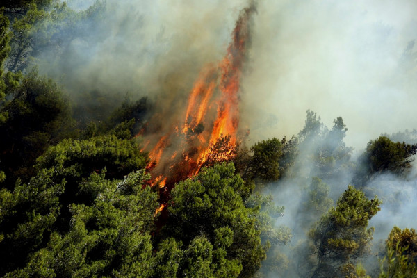 Σε πύρινο κλοιό η Κεφαλονιά - Πέντε εστίες φωτιάς μέσα σε λίγα λεπτά