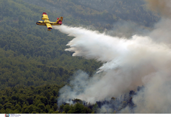 Φωτιά τώρα κοντά στο χωριό Κρόκι της Άμφισσας, σπεύδουν εναέρια μέσα