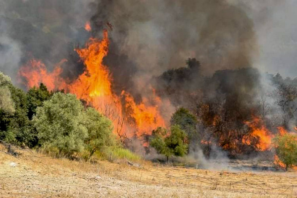 Φωτιά τώρα στην Παλλήνη