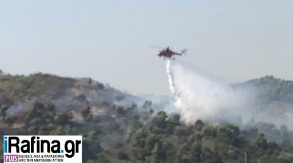 Φωτιά στο Πικέρμι: Έγινε μία σύλληψη για την πυρκαγιά