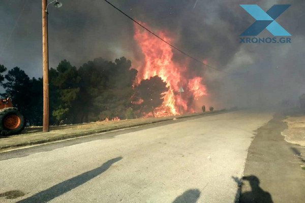 Στις Σάπες κλιμάκιο της Διεύθυνσης Αντιμετώπισης Εγκλημάτων Εμπρησμού