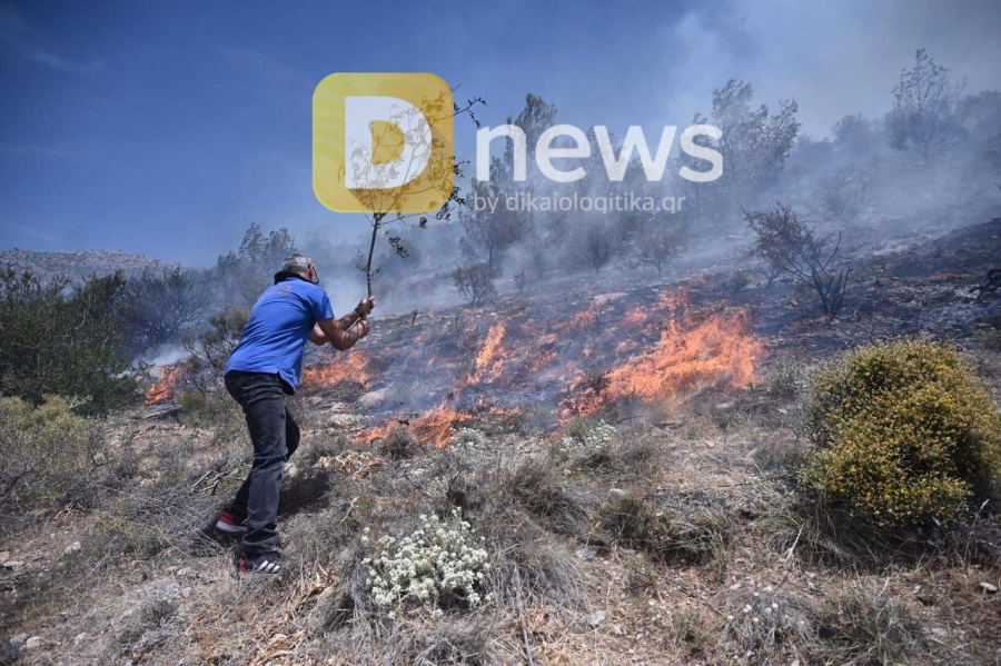 Συναγερμός στη Γλυφάδα: Μεγάλη φωτιά σε εξέλιξη (εικόνες - βίντεο)