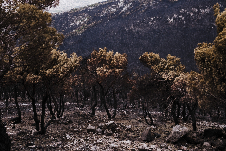 Τρομοκρατημένοι οι Αθηναίοι με την κλιματική αλλαγή: 9 στους 10 περιμένουν μια μεγάλη φυσική καταστροφή