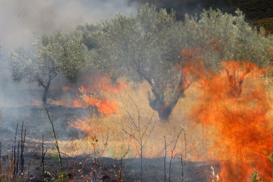 Φωτιά τώρα στην Αιτωλοακαρνανία – 112 και ενίσχυση δυνάμεων στη Βοιωτία