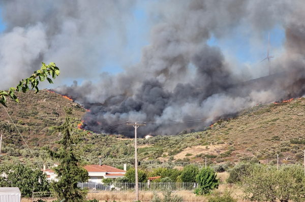 Μαίνεται ανεξέλεγκτη η φωτιά στην Εύβοια: Νέο «112» και εκκένωση του χωριού Κοσκινά