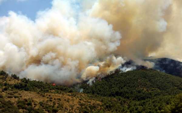 Σε δυο μέτωπα η μεγάλη πυρκαγιά στα Δερβενοχώρια