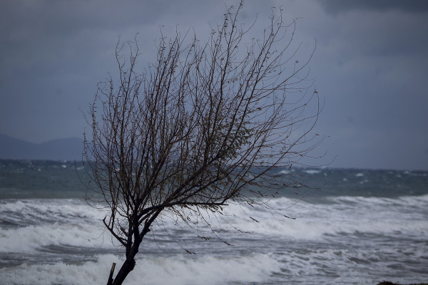 ΕΜΥ: Τι καιρό θα κάνει αύριο Σάββατο - Συνεχίζονται οι ισχυροί άνεμοι