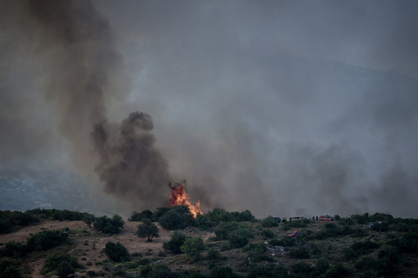 Φωτιά τώρα στη Φλώρινα (vid)