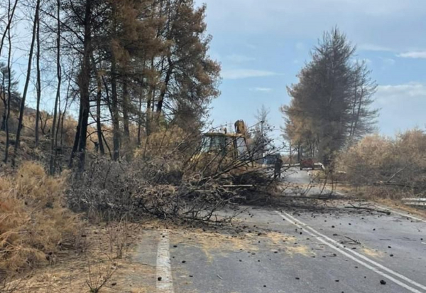 Φωτιά Εύβοια: Σε εξέλιξη οι καθαρισμοί δρόμων και τα έργα υλοτομίας (βίντεο, εικόνα)