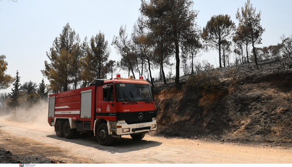 Τρίπολη: Υπό μερικό έλεγχο η φωτιά στην περιοχή της Νεστάνης