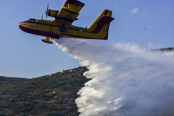 Πυροσβεστική: 60 φωτιές σε ένα 24ωρο - Ποια είναι τα επικίνδυνα μέτωπα