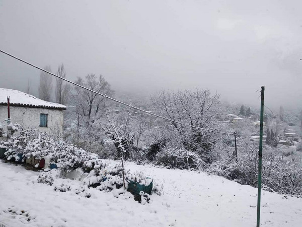 Χανιά: Προβλήματα από την κακοκαιρία