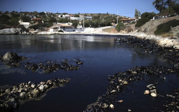 Πετρελαιοκηλίδα: Η WWF κατέθεσε μήνυση για τη ρύπανση στον Σαρωνικό