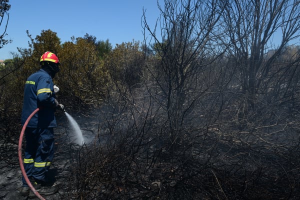 «Κάπνιζε» μελίσσια και έβαλε φωτιά στο Κίτσι: «Βροχή» τα πρόστιμα για θερμές εργασίες