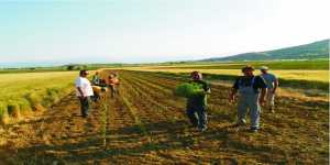Δικαιούχοι βιολογικής γεωργίας στην ΠΕ Ηρακλείου