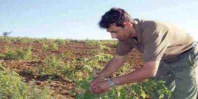 Έως 21/8 οι αιτήσεις για 72 προσλήψεις στον ΕΛΓΑ