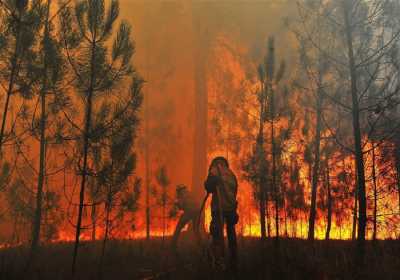 Πορτογαλία: Έγιναν στάχτη περισσότερα από 950.000 στρέμματα στις πυρκαγιές του Αυγούστου