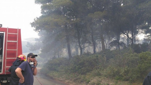 Σε εξέλιξη δύο νέες φωτιές στην Ηλεία