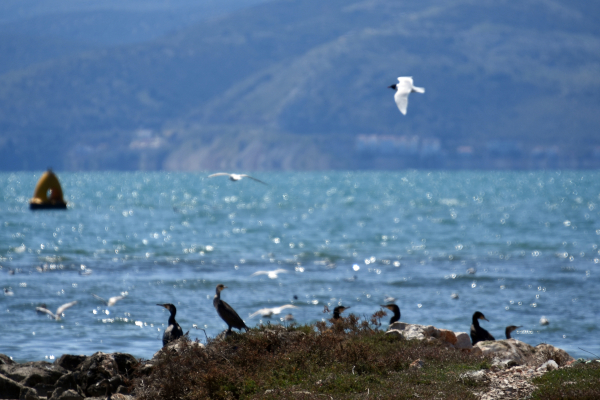 Καιρός σήμερα: Έως 32 βαθμούς η θερμοκρασία, πού θα βρέξει