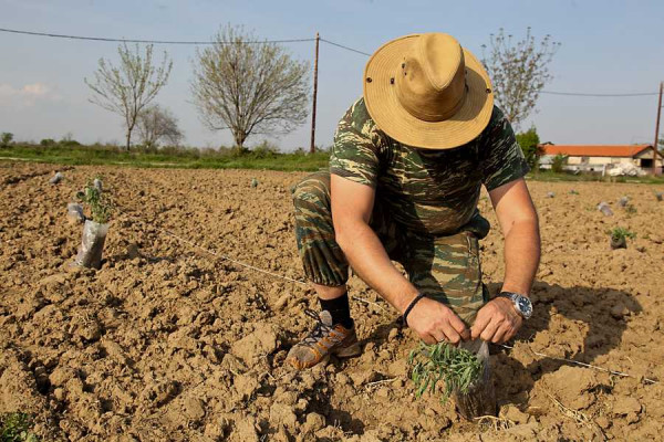 Πρωτοβουλία της ΕΝΠΕ για καταβολή ενιαίας ενίσχυσης σε χιλιάδες αγρότες και κτηνοτρόφους