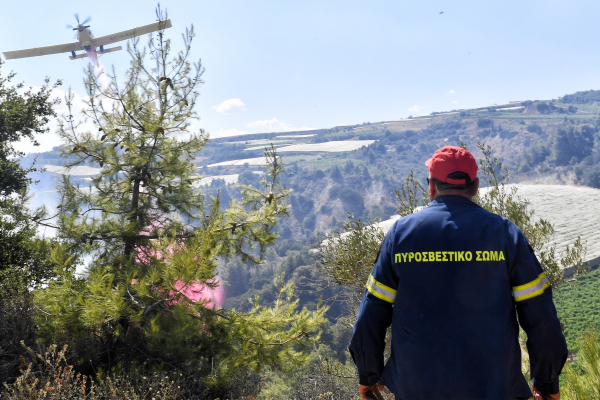 Φωτιά τώρα στο Κιλκίς - Επιχειρούν ισχυρές πυροσβεστικές δυνάμεις