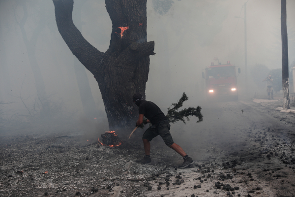 Προσαγωγή υπόπτου για εμπρησμό στο Κρυονέρι - Ισχυρίστηκε πως ήταν εθελοντής (βίντεο)