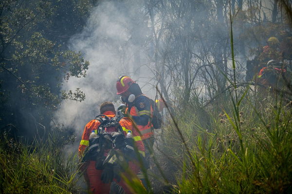 Φωτιά στην Αλεξανδρούπολη: Νέο μήνυμα του 112 και εκκενώσεις των περιοχών Νίψας, Αετοχωρίου και Πεύκας