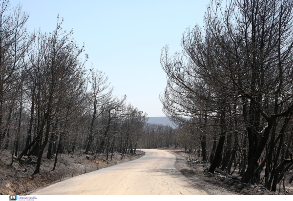 Έρχεται το «Dadia Pass»