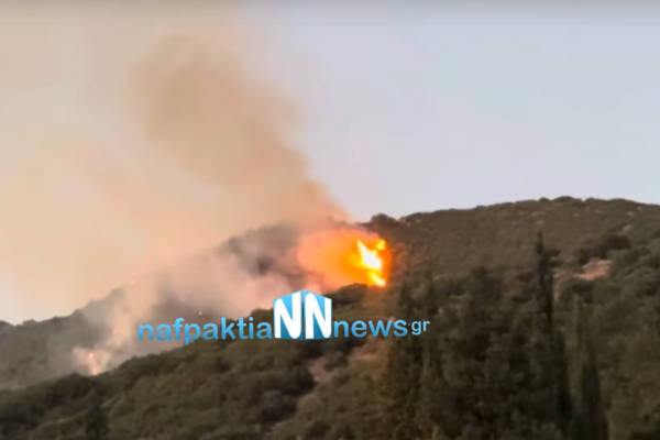 Φωτιά στη Ναύπακτο - Καίει δασική έκταση