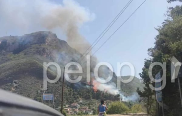 Φωτιά στην Αιγιάλεια: Μάχη με τις φλόγες να μην καούν σπίτια, επιχείρηση και με εναέρια μέσα